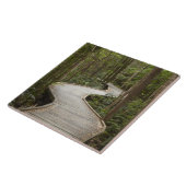 ボードウォークトゥネルソン滝ズ、フランクリンゴードン タイル (側面)