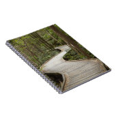 ボードウォークトゥネルソン滝ズ、フランクリンゴードン ノートブック (右側)