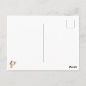 ボードウォーク散策 ポストカード (裏面)