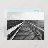 ボードウォーク歩くトレイルフロリダ ポストカード (正面/裏面)