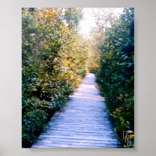 ボードウォーク ポスター (正面)