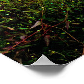 ボードウォーク ポスター (角)