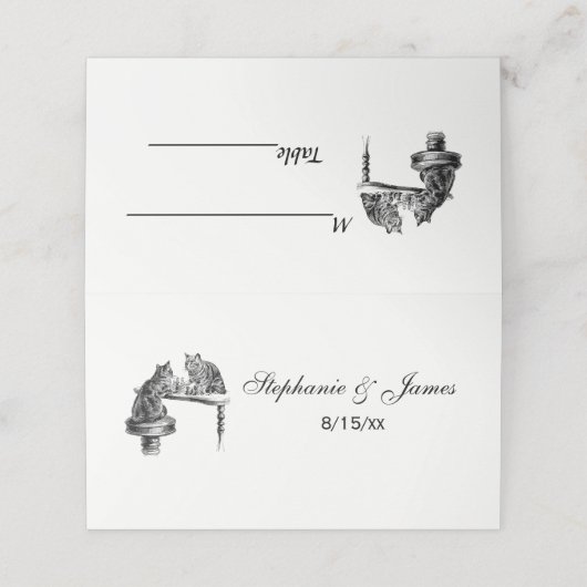 ボードゲーム：2匹遊の猫がチェスの試合 プレイスカード (外部開封)