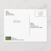 ボーネホール厩舎はがき ポストカード (裏面)