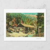 ボーフィッシュクリークのソーミルの外観 ポストカード (正面)