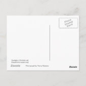 ボーフォシアはがき ポストカード (裏面)