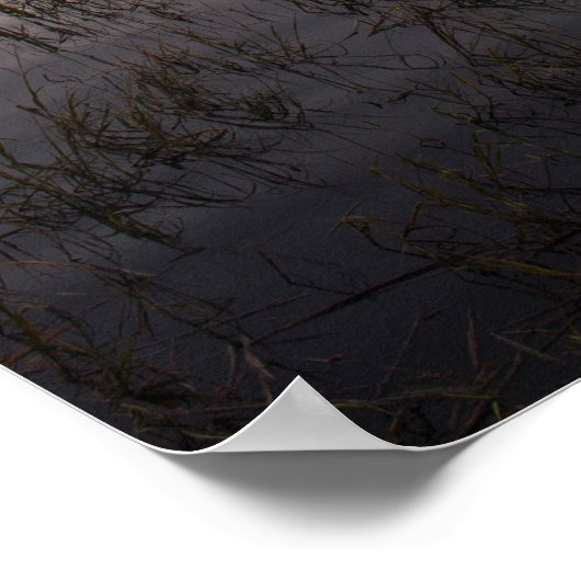 ボーフォートポスターの日没の森の記念橋 ポスター (角)