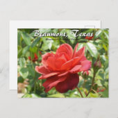 ボーモン、テキサス州植物園バラ旅行 ポストカード (正面/裏面)