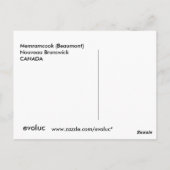 ボーモン ポストカード (裏面)