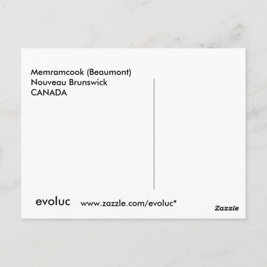 ボーモン ポストカード (裏面)