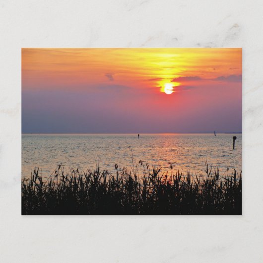 ボーラルベルグの湖コンスタンスで夕日 ポストカード (正面)