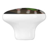 ボーリング製ノブ セラミックノブ (側面)