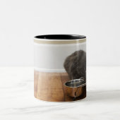 ボールからの猫の食べ物 ツートーンマグカップ (中央)