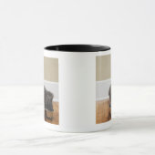 ボールからの猫の食べ物 マグカップ (中央)