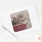 ボールで寝ている子猫 スクエアシール (封筒)