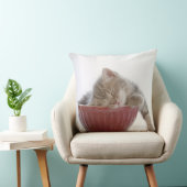 ボールで眠っている子ネコ クッション (椅子)