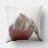 ボールで眠っている子ネコ クッション (裏面)