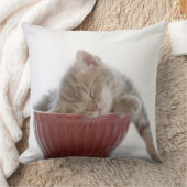 ボールで眠っている子ネコ クッション (ブランケット)