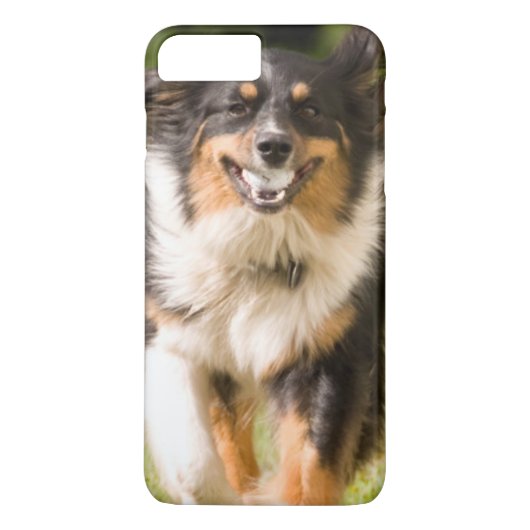 ボールで遊ぶオーストラリアン・シェパード Case-Mate iPhoneケース (裏面)