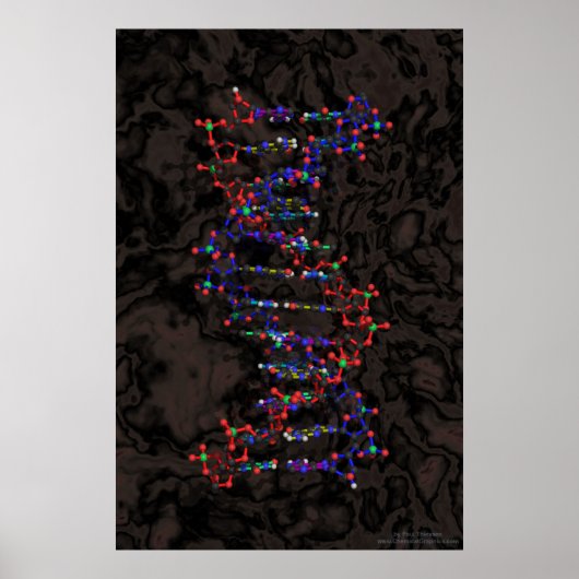 ボールとGraniteとのスティック ポスター (正面)