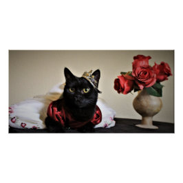 ボールに身を包む ポスター