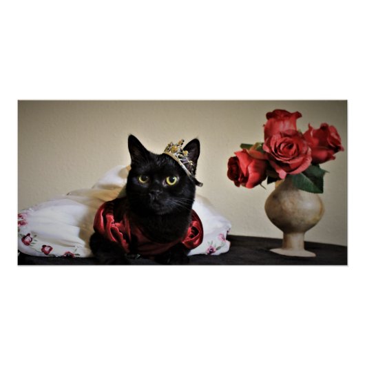 ボールに身を包む ポスター (正面)