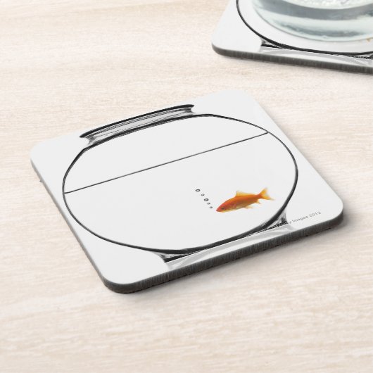 ボールの金魚 コースター (左側)