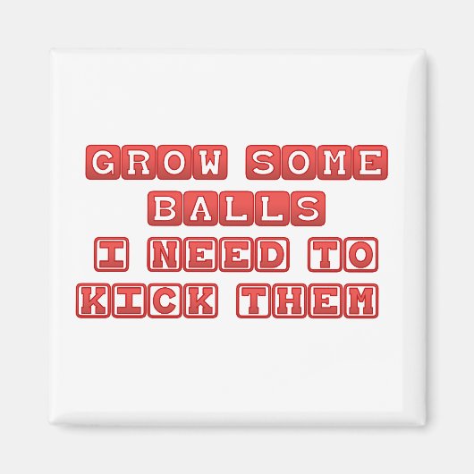 ボールを伸ばす マグネット (正面)