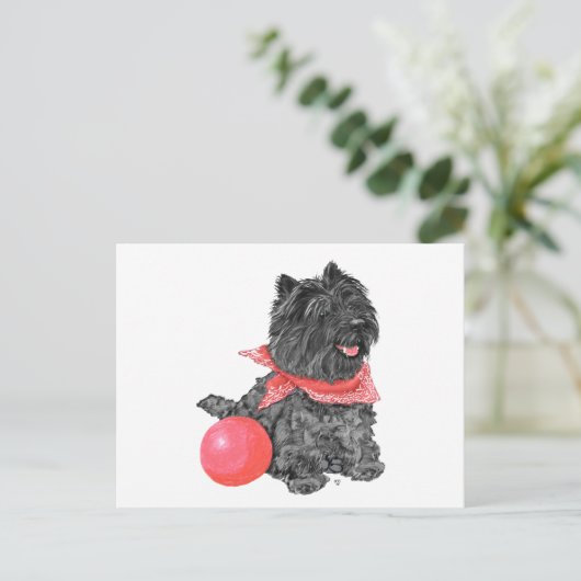 ボールを持った黒のケアン・テリア ポストカード (スタンド正面)