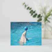 ボールを持つイルカ ポストカード (スタンド正面)