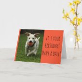 ボールを持つ子犬のカード カード (黄色い花)