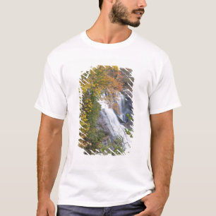 ボールドリバーの滝 Tシャツ
