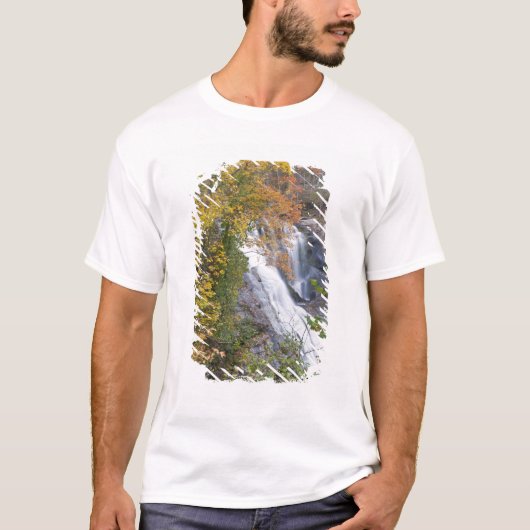 ボールドリバーの滝 Tシャツ (正面)
