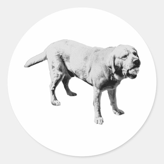 ボールホッグ ラウンドシール (正面)