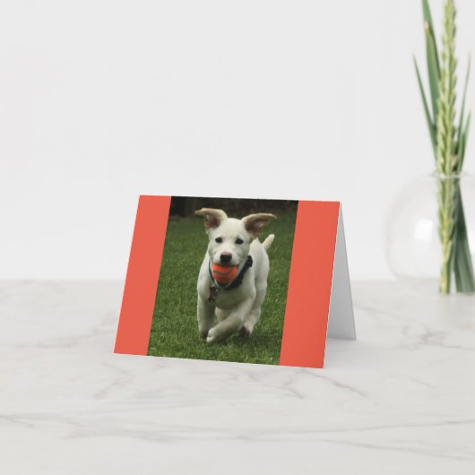 ボール付き子犬誕生日カード サンキューカード (正面)