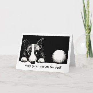 ボール保に目を向ける カード