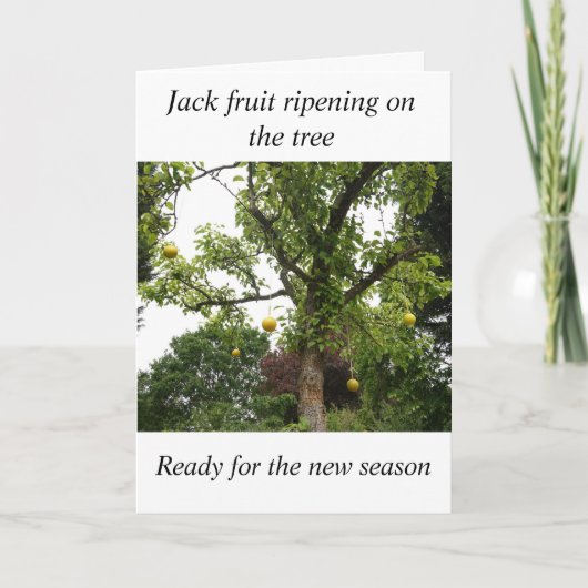 ボール誕生日カード カード (正面)