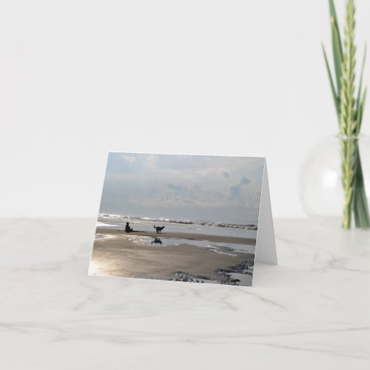 ボール追跡ドッグのビーチノートカード カード (正面)