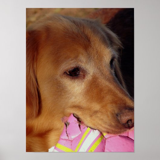 ボール遊よ ポスター (正面)