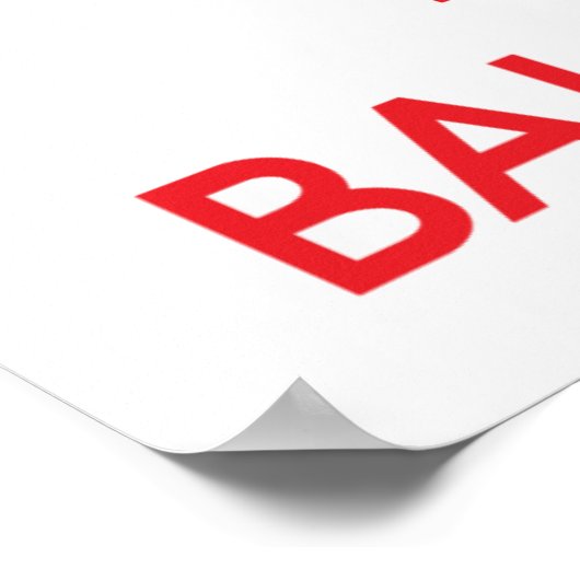 ボールPython ポスター (角)