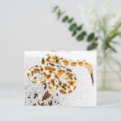 ボールPython ポストカード (スタンド正面)