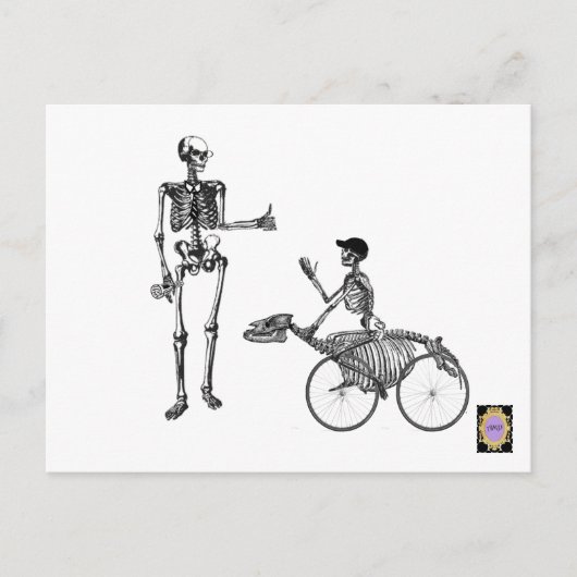 ボーンダディ ポストカード (正面)