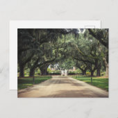 ボーンホールオークス ポストカード (正面/裏面)