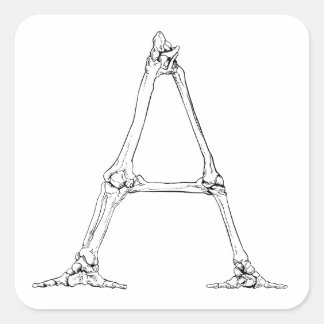 ボーンレター – A スクエアシール