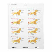 ボーン断面図 ラベル (フルシート)