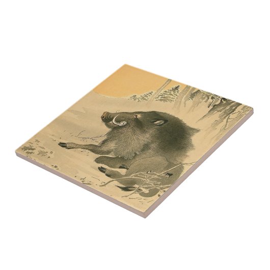 ボー日本のル絵を描ズ豚の年〔占星術の〕十二宮図タイル タイル (側面)