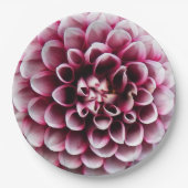 ボー赤と白ルダリアフローラ ペーパープレート (正面)