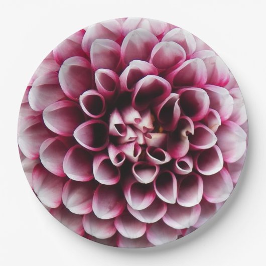 ボー赤と白ルダリアフローラ ペーパープレート (正面)