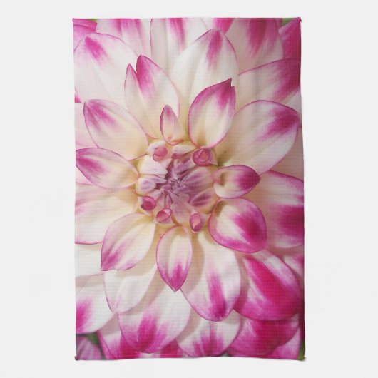 ボー キッチンタオル (縦)