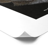 ボー&シシー ポスター (角)